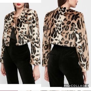 Express x Karla jacket